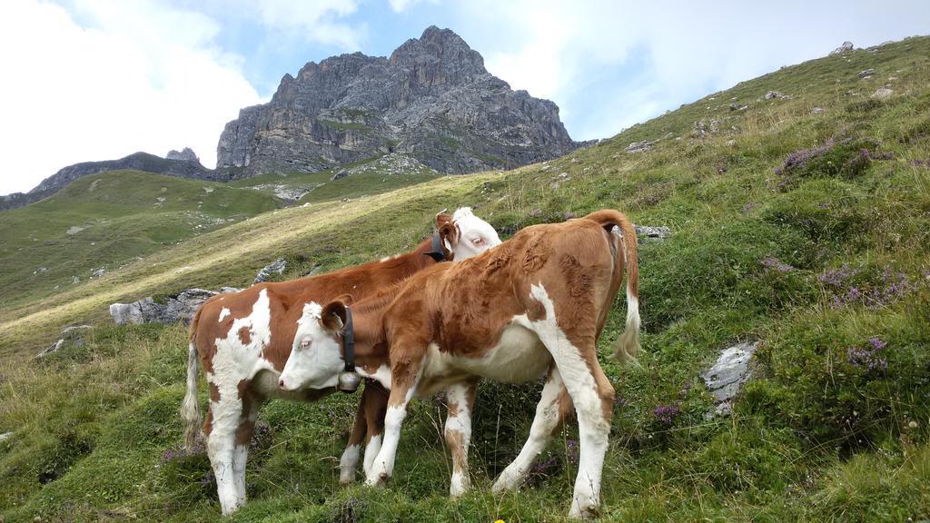 Haus Traudl Appartement Mayrhofen Buitenkant foto